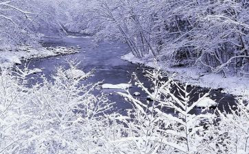 除雪调查报告精选6篇