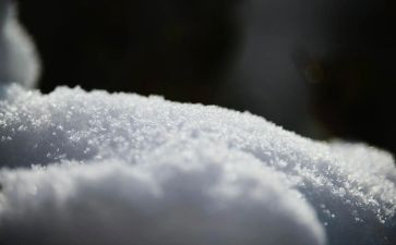 关于除雪调查报告5篇