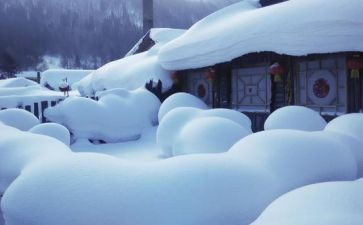 雪的调查报告作文推荐6篇