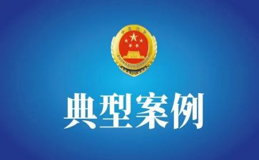 教师学典型案例心得体会5篇