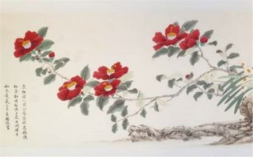 中国画树的教案7篇