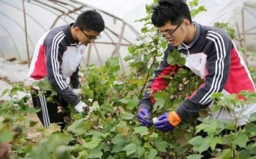 中学农训个人总结8篇
