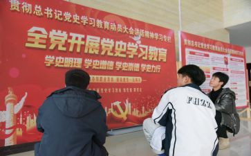 2024年学史力行心得8篇