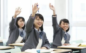 学习培训计划的总结8篇