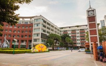 年度学校财务个人总结6篇