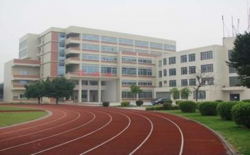 学校会计的述职报告5篇