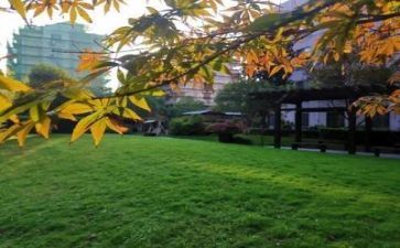 学校排查自查报告6篇