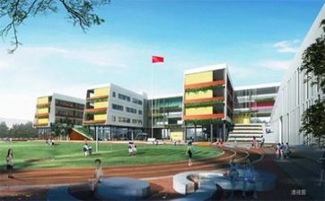 写关于学校的调查报告7篇