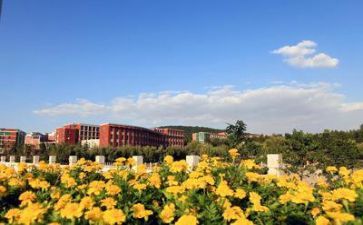 安全学校安全讲话稿7篇