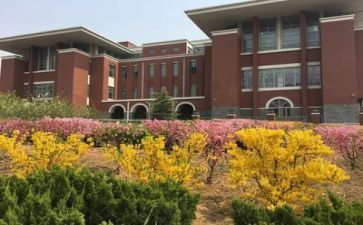 学校321活动总结优秀8篇