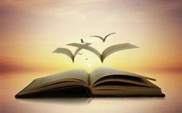 小学数学业务心得体会5篇