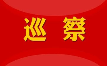 巡察组长个人总结8篇