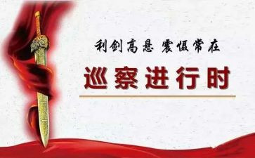 巡察工作干部个人总结6篇