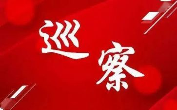 巡察干部个人总结6篇