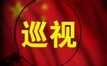 巡视工作的个人总结6篇