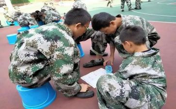 培训学校培训总结模板8篇