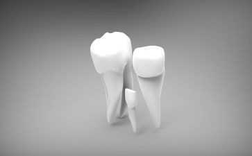 大班牙齿健康教案精选7篇