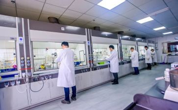 研发公司工作计划7篇