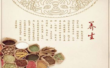 禅与养生心得体会8篇