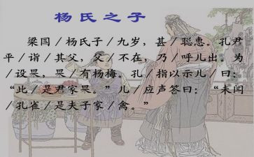 杨氏之子的教学反思最新5篇