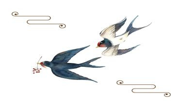 《燕子》的教案5篇