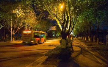 夜场活动方案7篇