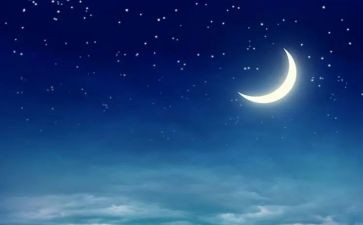 《夜莺与玫瑰》的读后感8篇