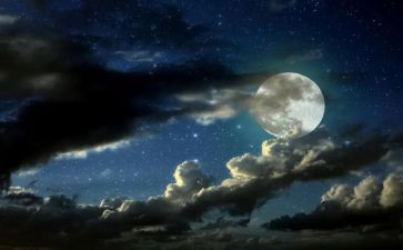 美丽的夏夜作文通用8篇