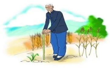 爷爷泡的茶满分作文6篇