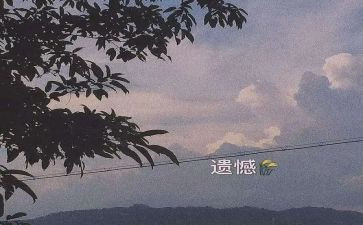与遗憾的作文精选5篇