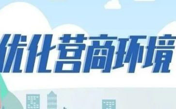 营商局个人总结8篇