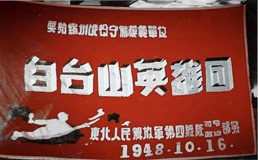 小学生学英雄心得体会5篇