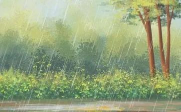 雨来的故事演讲稿通用5篇