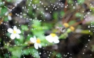 雨中记忆的作文6篇
