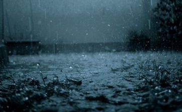 雨初中作文800字作文优秀7篇
