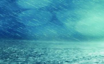 雨中的记忆作文模板6篇