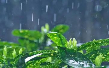 雨中的记忆作文推荐7篇