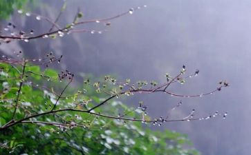 观雨优秀作文优秀7篇