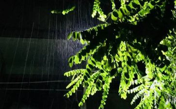 要下雨了教案最新5篇