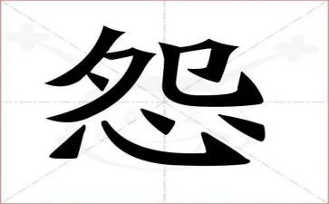 做不抱怨的教师心得体会模板6篇