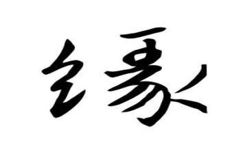 我与__的缘作文参考6篇