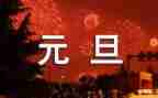元旦夜小学生演讲稿5篇