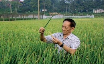 袁隆平高中作文5篇