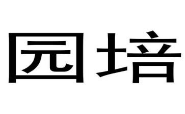 幼儿园培训心得体会1000字5篇