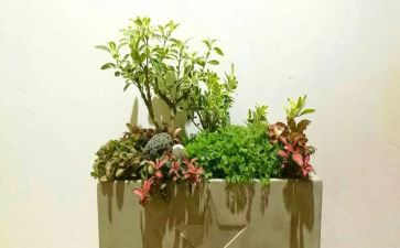 个人园艺工作总结7篇