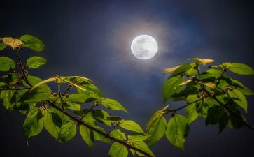 月亮》教案优质5篇