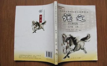 教师年度语文个人总结精选7篇