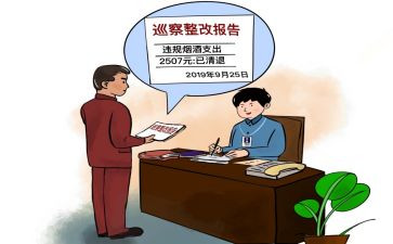 巡查组整改报告8篇