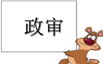 政审工作的个人总结6篇
