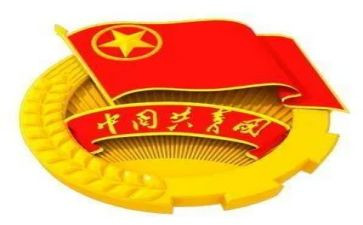 镇团委年度述职报告6篇